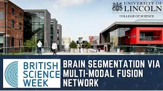 Brain Segmentation via Multi-modal Fusion Network