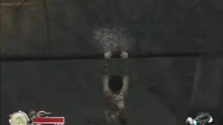 Tenchu: Fatal Shadows - C10B-L1