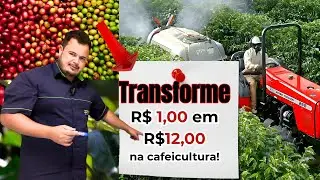 Pulverização na Cafeicultura: Multiplique Seu Investimento por 12 com Estratégias Eficazes 🚜💰