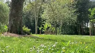 Cherbourg/ France- Château de Cherbourg