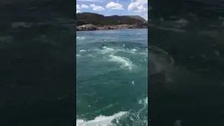 RIO S&Atilde;O FRANCISCO REDEMOINHO ENGOLI TURISTA