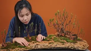 miniature landscape from stone pedestal and bonsai