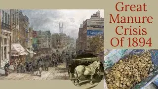 Victorian Great Horse Manure Crisis | The Never Ending Horse Muck In London