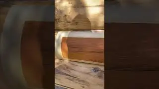 Lovitt's Emerald Gold log home stain choice between single or double tint of 
