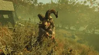 Fallout 76 - Sheepsquatch fight