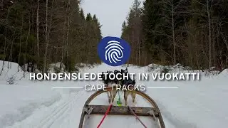 Bucketlist Ervaring: Hondensledetocht in Vuokatti, Finland