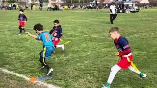 Dolphins vs Patriots 8u Week 4