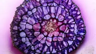060 Dragon Flower inspired by @epoxyliciousbyLianne 