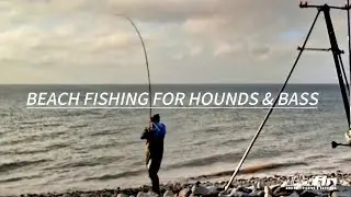 AWESOME BEACH FISHING FOR BASS AND SMOOTH HOUNDS