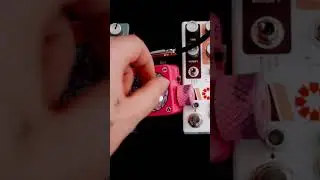 Signal Path - @ChaseBlissAudio Gen Loss Mk2 filter modulation w/ @PedalBrainz  Left Brain