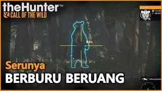 Berburu Beruang || The Hunter Call of the wild | COTW Indonesia