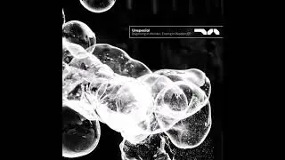 Unspecial - Allermuir (Milligramme 001)