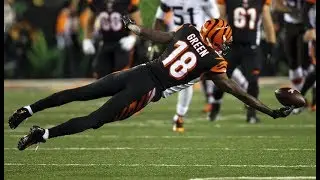 AJ Green || Lockjaw || NFL Highlights ᴴᴰ