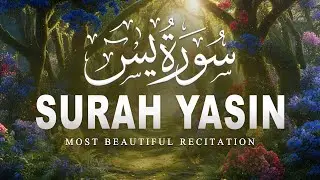 Surah Yaseen سورة يس | Most Calming Recitation for Stress Relief & Peaceful Sleep #quranforsleep
