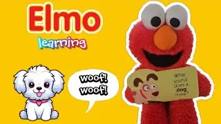 Elmo Learns What Ducks Say- & Other Animals! 🐈🦆 | Learning Video for Toddlers