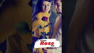❤Happy Rose Day 2024 | Rose Day Shayari Status | Happy Rose Day status | Rose Day Status | Rose Day🌹