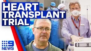 Ground-breaking trial could enable more heart transplants | 9 News Australia