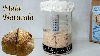 Maia naturală explicată clar: de la zero //Cum se întreține//Cum se păstrează