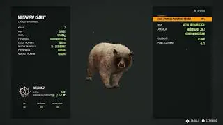 The Great One Black Bear Fabled Spirit #9 The Hunter COTW