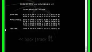 **EXCLUSIVE** LEAKED Footage..WPA CRACKING