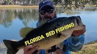 BED FISHING IN FLORIDA. FAVORITE BAIT