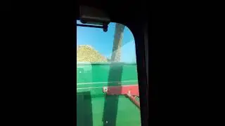 Koszenie kukurydzy 2019. Claas Jaguar 690sl + Case Puma 170 CVX. Danubio