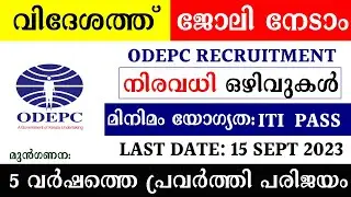 Recruitment of Draughtsman - Piping, Electrical in UAE | ODEPC Jobs | 3D Modeller