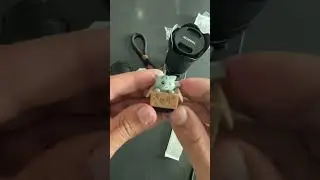Cute Cat hot shoes for camerascat hotshoe for cameras
