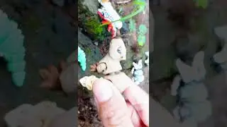 mini animals lucuuu bangeeettt .. ga bosen ngoleksi ginian