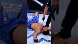 Брутальный финиш 🥶 #octagon #mma #uzbek