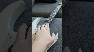 Do you like stainless steel frets with a rosewood fretboard for guitar?