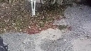 Our little haunt so far