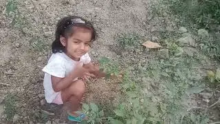 @মা মেয়ে মিলে সব্জি তুল্লাম