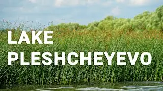 Tavel in Lake. Summer time. Lake Pleshcheyevo . Озеро Плещеево, Ярославская область.