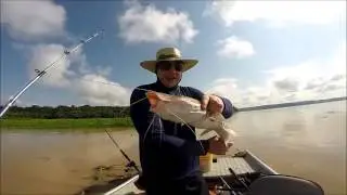 Pesque e solte, preserve