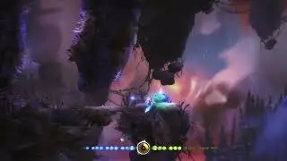 Ori and The Blind Forest Definitive Edition: Easter Egg