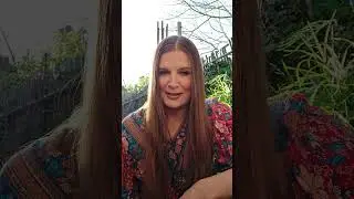 Info About Energy Healing Sessions 