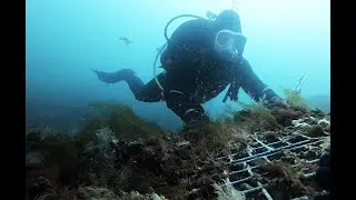 Maine divers search for ghost gear