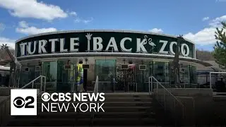New animal care center opens at Turtle Back Zoo in New Jersey
