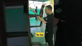 Wing chun techniques Tan sao #viral #wingchun