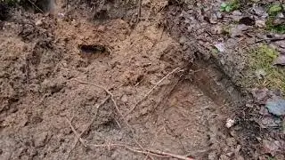 Paraka pa kariņu 5.12.2020 #latvia #metaldetecting #коп #ww1