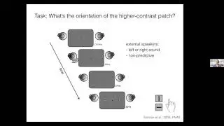 Viola St&ouml;rmer - Orienting attention to salient sounds enhances visual perception