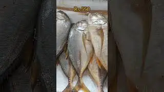 💥வானகரம் மீன் விலை இன்று💥#kasimedu #vanagaram #kasimedufishmarket #viralshort  #fishmarket #shorts