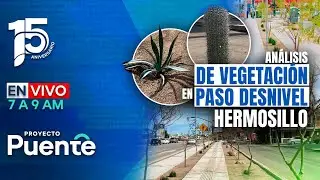 ICE allana 15 locales Arizona - Vegetación Puente desnivel - Abarrey - Camionetas SCJN | 27 enero