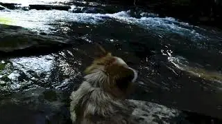 Mill Spring, NC