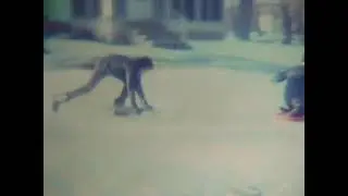 Home Movie 1977