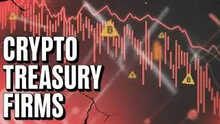 Crypto Treasury Firms Outlook (2026): The Good, The Bad & What&rsquo;s Coming Next
