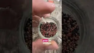 Ne jette plus jamais tes pots d&rsquo;&eacute;pices 🌿♻️ #astuce #potager #jardin