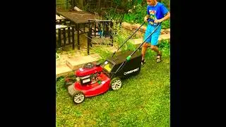 Cutting tall grass with my 2017 Troy bilt 21 inch push lawnmower if a GCV-160 Honda engine￼