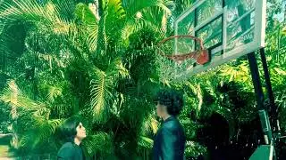 Stats Plan - Ap Statistics Music Video